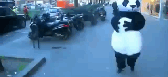 gif (11)
