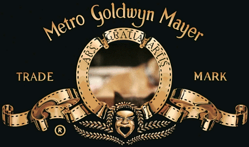 gif (4)