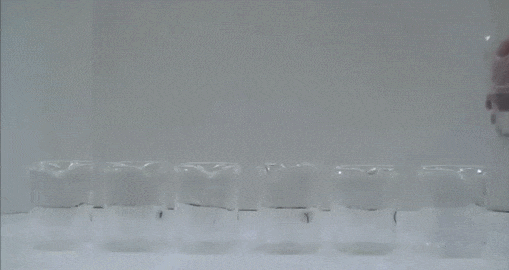 gif (7)
