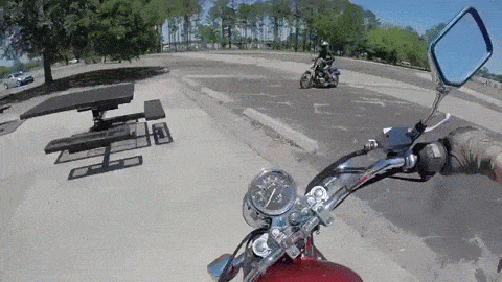 gif (1)