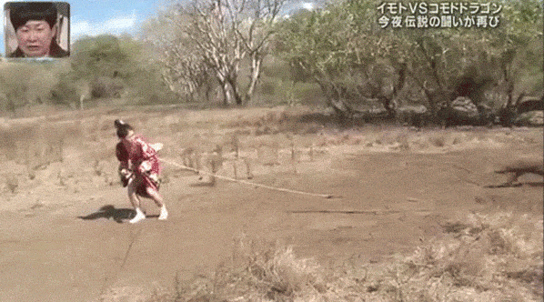 gif (14)