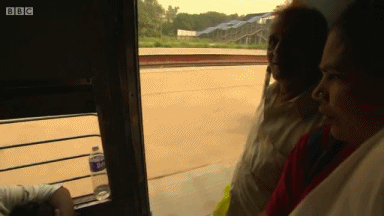 gif (16)