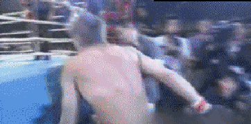 gif (27)