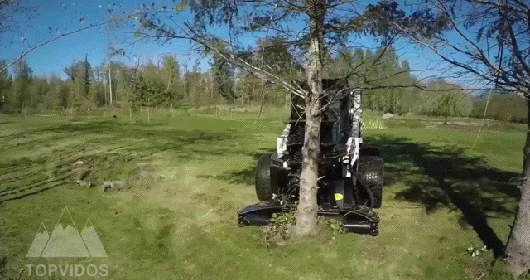 gif (13)