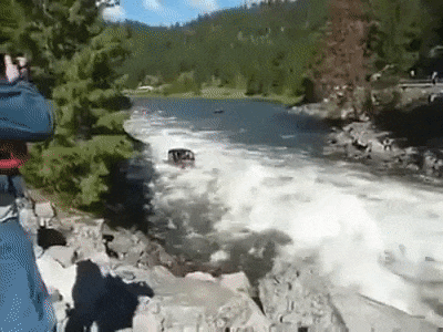 gif (23)