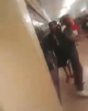 gif (28)