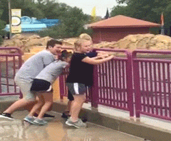 gif (30)