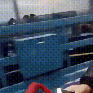 gif (13)
