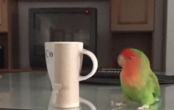 gif (11)