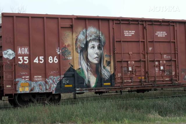 neseojd (19)