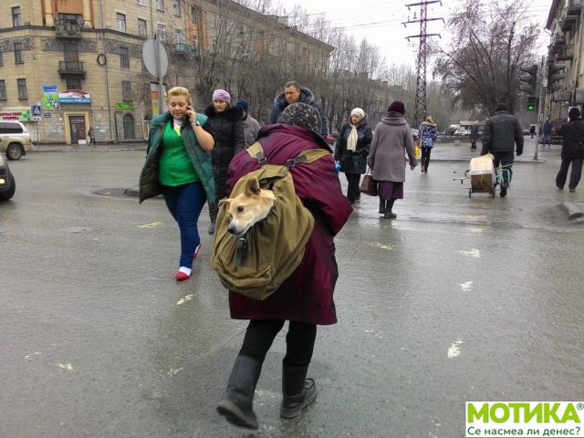 urbani (26)