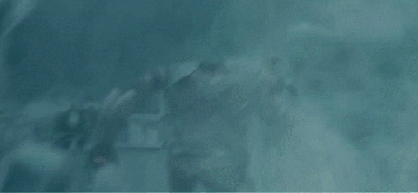 gif (15)