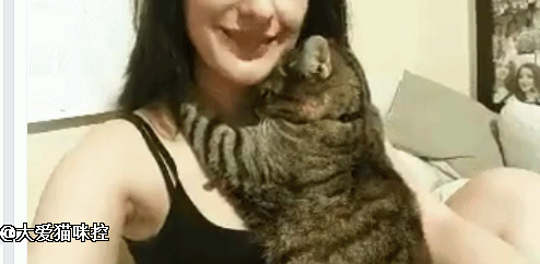 gif (30)