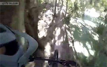 gif (12)