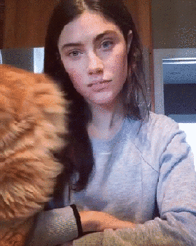 gif (27)