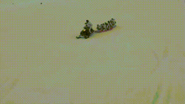 gif (29)