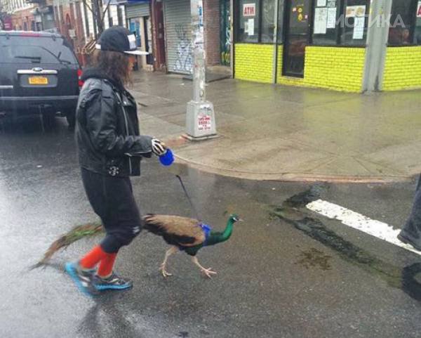 wtf (4)