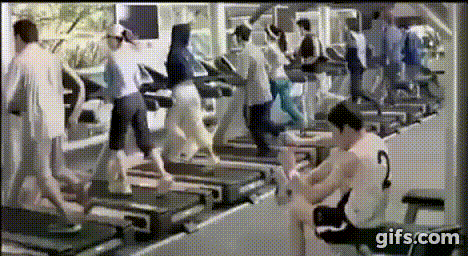 gif (28)
