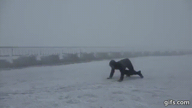 gif (30)