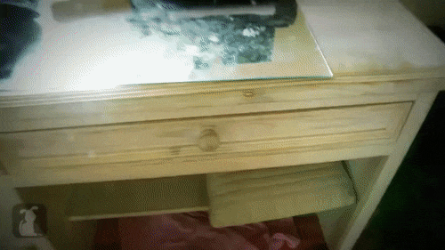 gif (24)