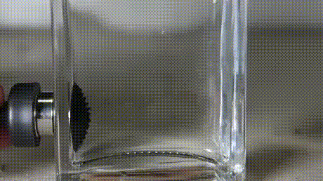 gif (20)