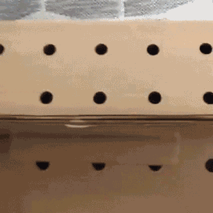gif (25)