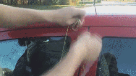gif (28)