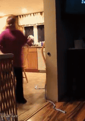 gif (29)