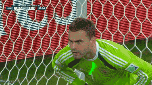 gif (9)