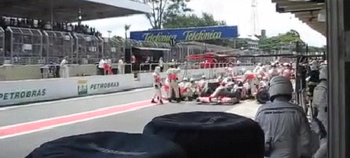 gif (2)