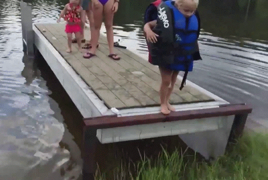 gif (5)
