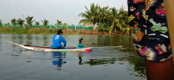gif (7)