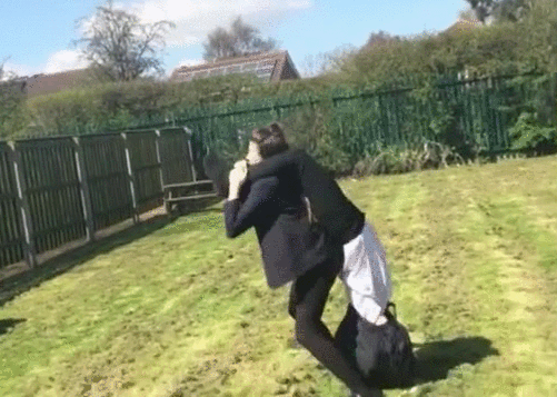 gif (1)