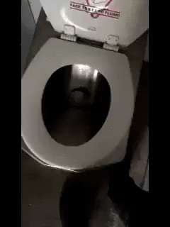 gif (22)