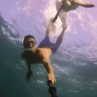 gif (15)