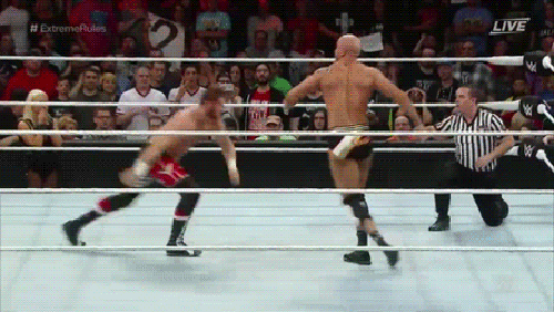 gif (4)