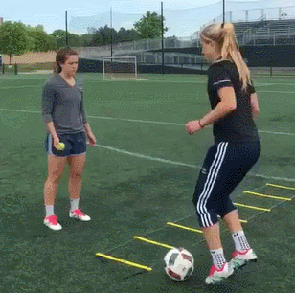 gif (23)