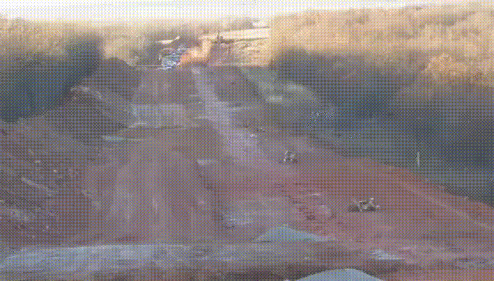 gif (24)