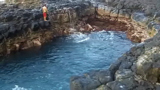 gif (29)