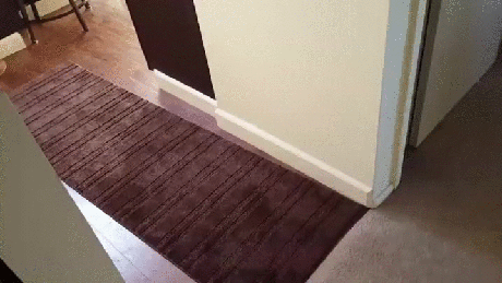 gif (18)