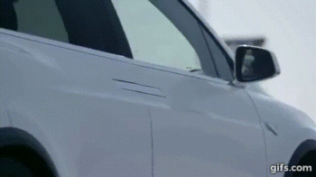 gif (25)