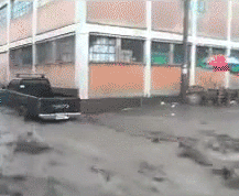 gif (26)
