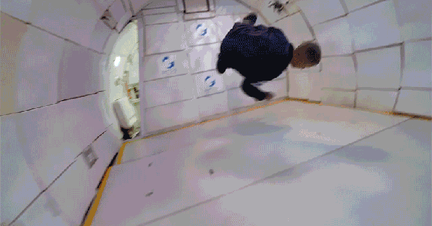 gif (10)