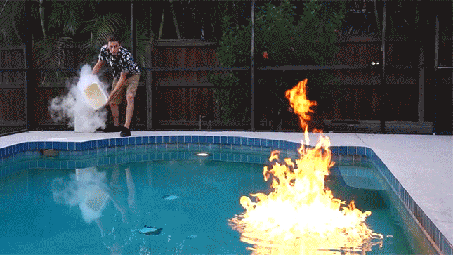 gif (12)