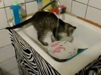 gif (15)