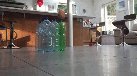 gif (20)