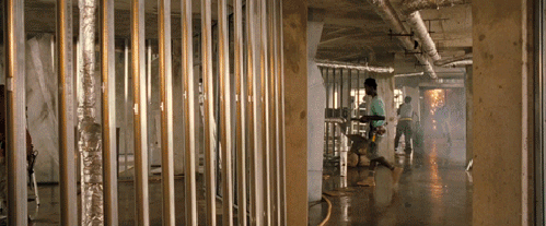 gif (2)