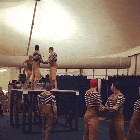 gif (29)