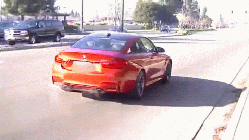 gif (3)