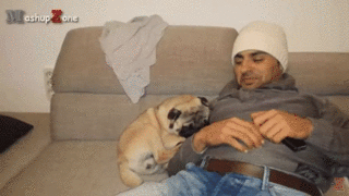 gif (14)